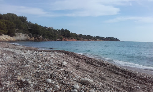Platja de l'Aliga photo #2