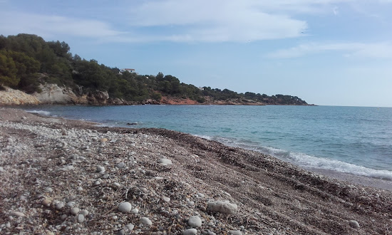 Platja de l'Aliga
