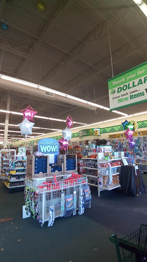 Dollar Store «Dollar Tree», reviews and photos, 4912 S Baldwin Rd, Orion Charter Township, MI 48359, USA