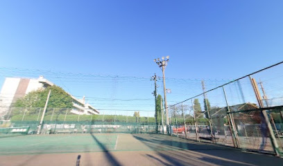 イケノヤテニススクール