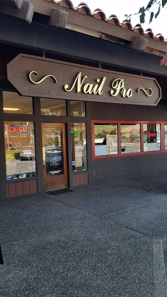 Nails Pro 95476