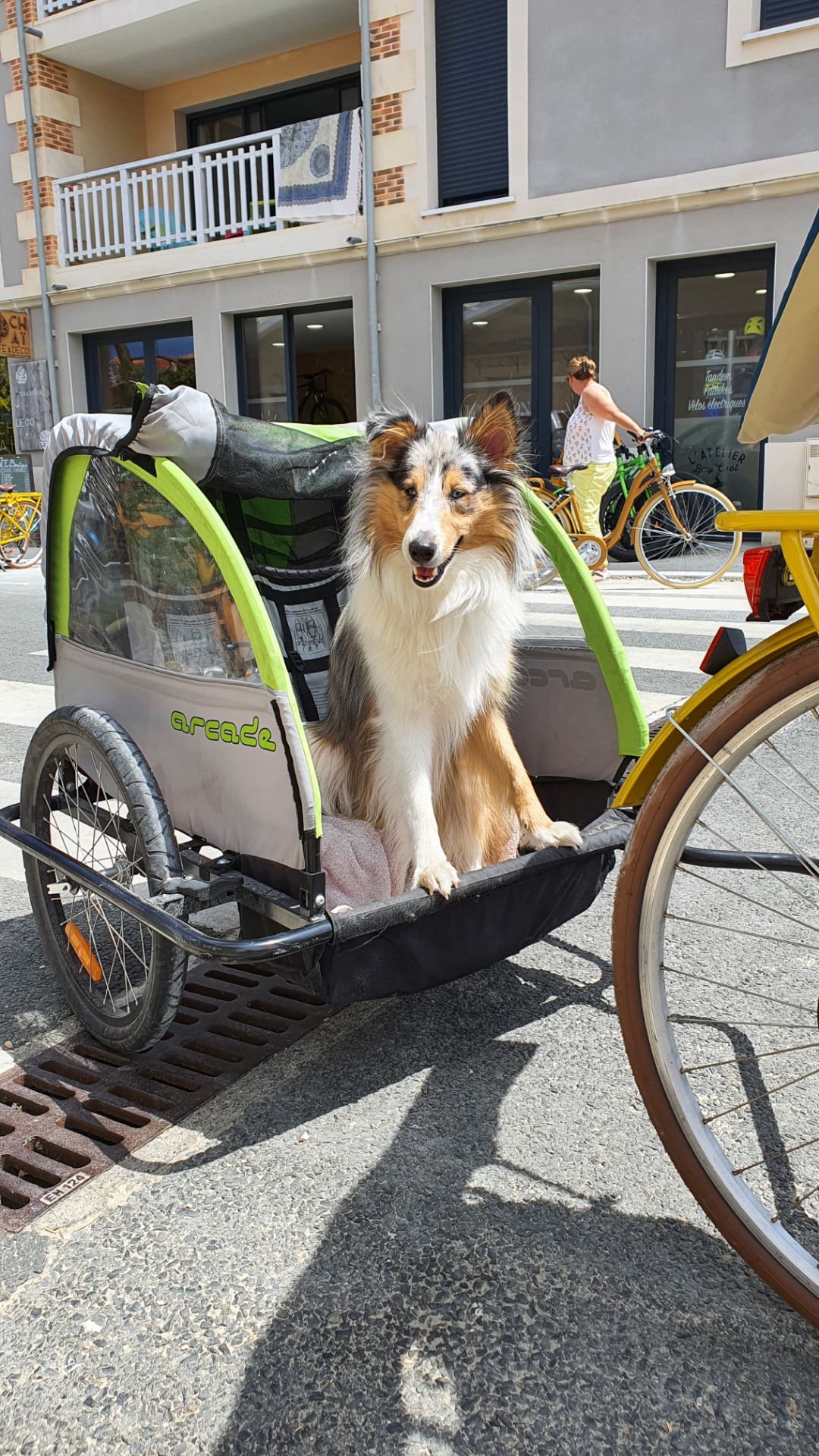 Photo n° 1 de l'avis de Raphaël.i fait le 18/07/2020 à 18:18