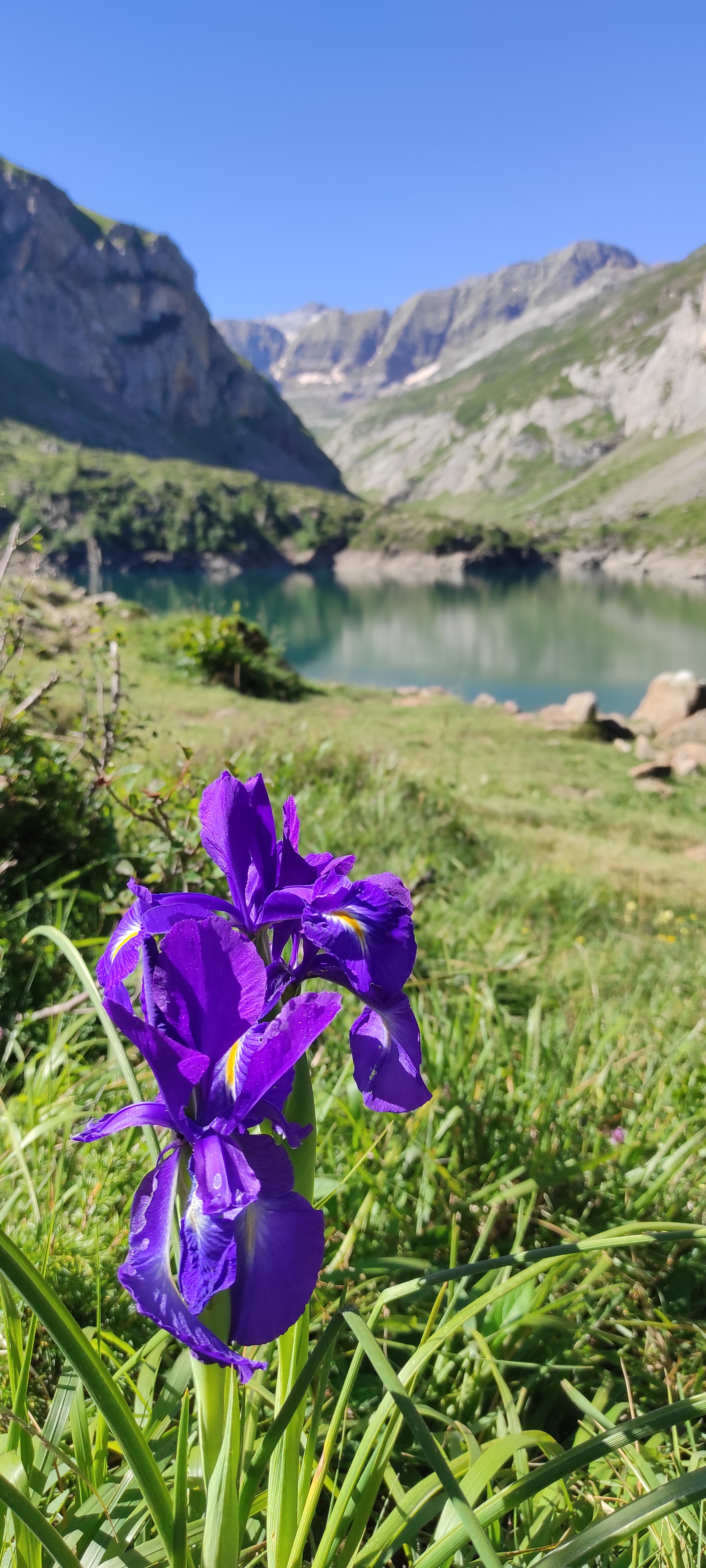 Photo n° 25 de l'avis de Remi.a fait le 10/07/2022 à 13:45