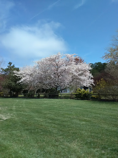 Golf Club «Cripple Creek Golf and Country Club», reviews and photos, 29494 Cripple Creek Rd, Dagsboro, DE 19939, USA