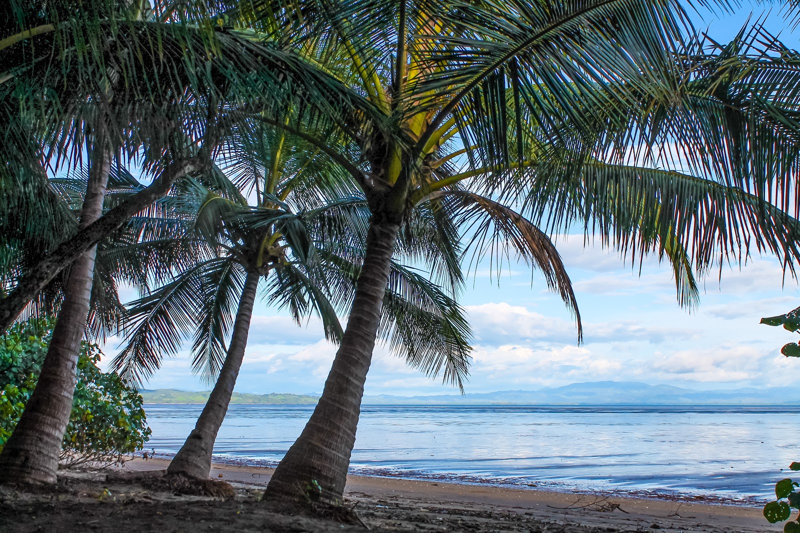 Foto de Lagartero Beach com muito limpo nível de limpeza