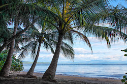 Foto de Lagartero Beach com muito limpo nível de limpeza