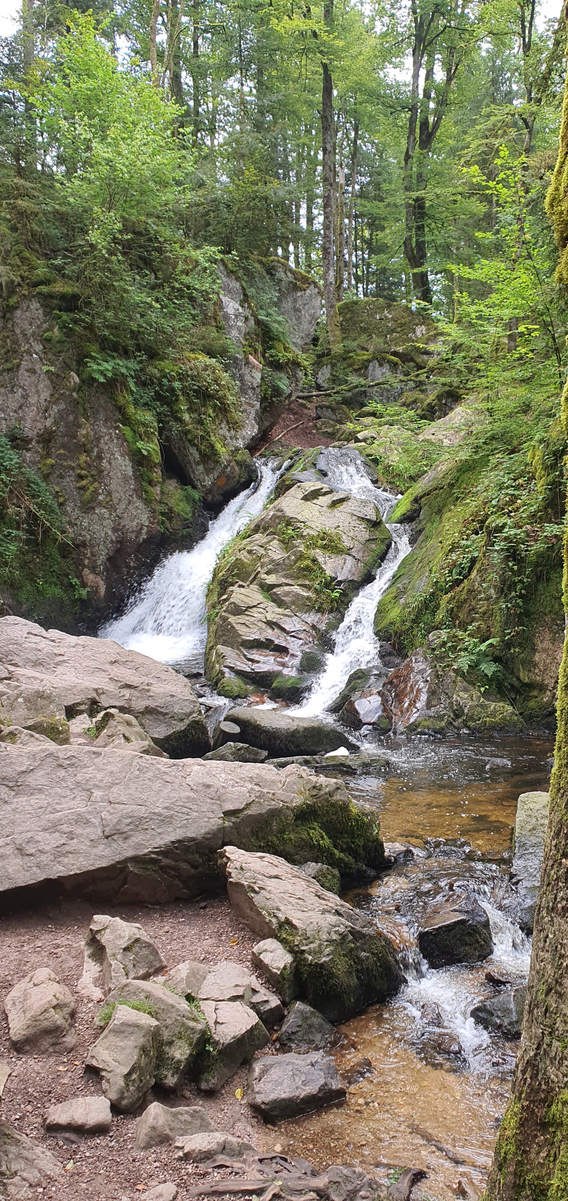 Photo n° 1 de l'avis de Guillaume.i fait le 17/08/2021 à 13:44