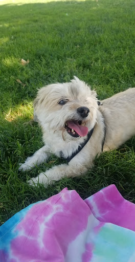 Park «Desert Breeze Park», reviews and photos, 8275 Spring Mountain Rd, Las Vegas, NV 89147, USA