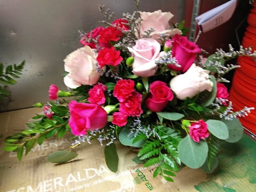 Florist «Enchanted Florist», reviews and photos, 1956 US-1, St Augustine, FL 32084, USA