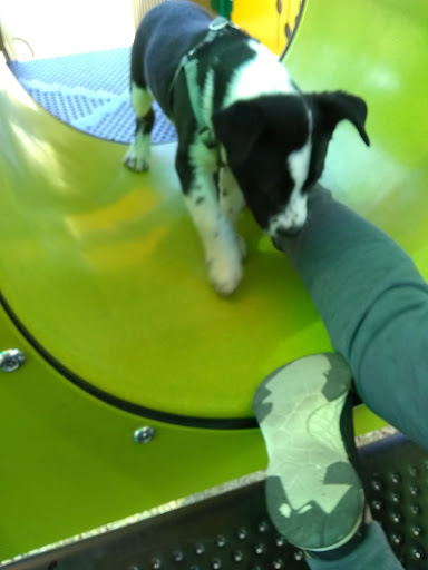 Park «Carl Knox, Jr. Park», reviews and photos, 1200 Susan Dr, Arlington, TX 76011, USA