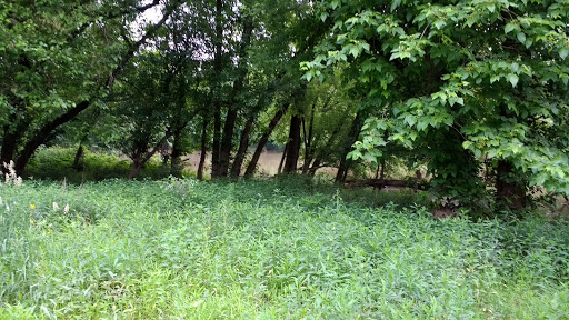 Golf Course «Reeves Golf Course», reviews and photos, 4757 Playfield Ln, Cincinnati, OH 45226, USA