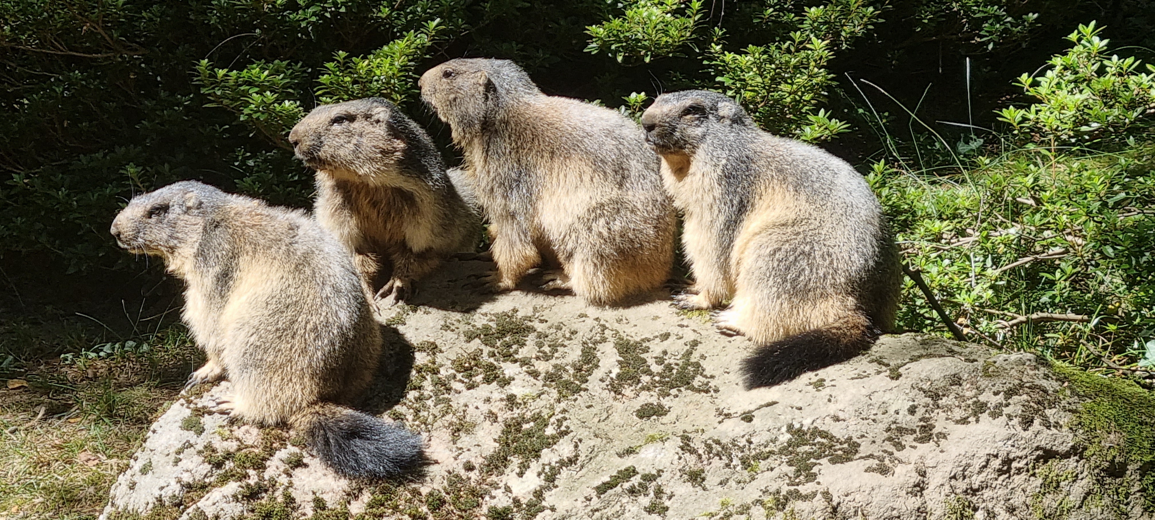Photo n° 2 de l'avis de nathalie.a fait le 08/08/2023 à 12:55