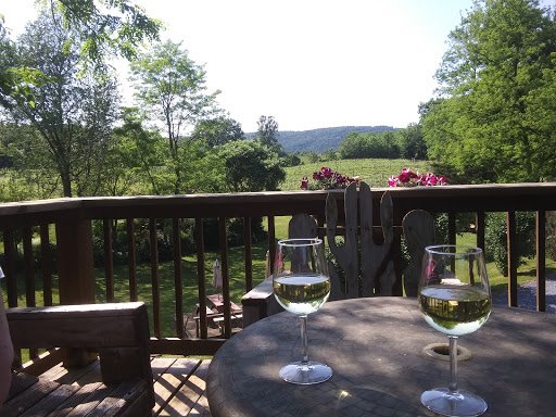 Vineyard «North Mountain Vineyard and Winery», reviews and photos, 4374 Swartz Rd, Maurertown, VA 22644, USA