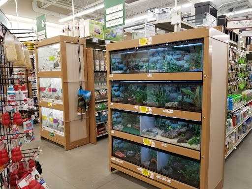 Pet Supply Store «Pet Supplies Plus», reviews and photos, 87 S River Rd, Bedford, NH 03110, USA