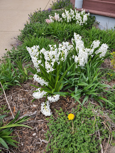 Museum «Batavia Depot Museum», reviews and photos, 155 Houston St, Batavia, IL 60510, USA