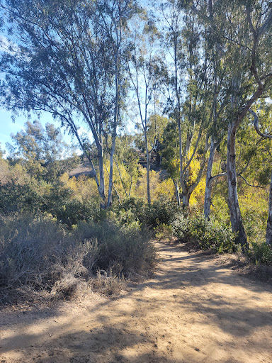 Shepherd Canyon