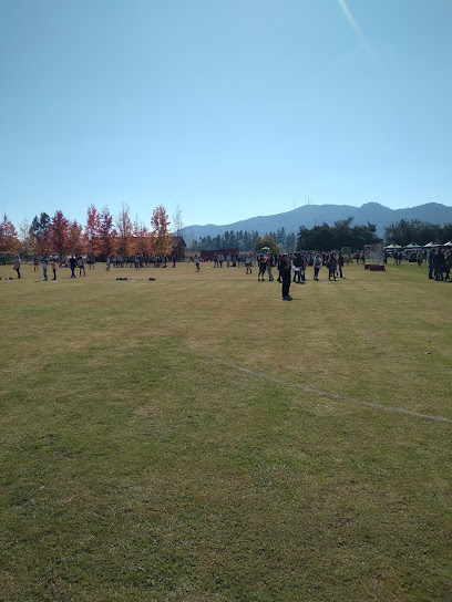 Cancha Rugby Orchard College