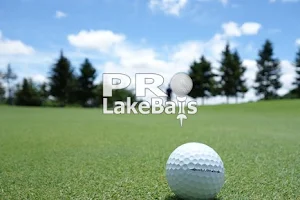 Pro Lake Balls Ltd image