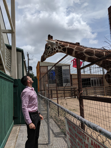 Tennis Club «Westside Tennis & Fitness», reviews and photos, 1200 Wilcrest Dr, Houston, TX 77042, USA