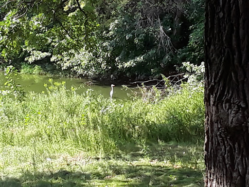 Park «Augsburg Park», reviews and photos, 7145 Wentworth Ave S, Richfield, MN 55423, USA