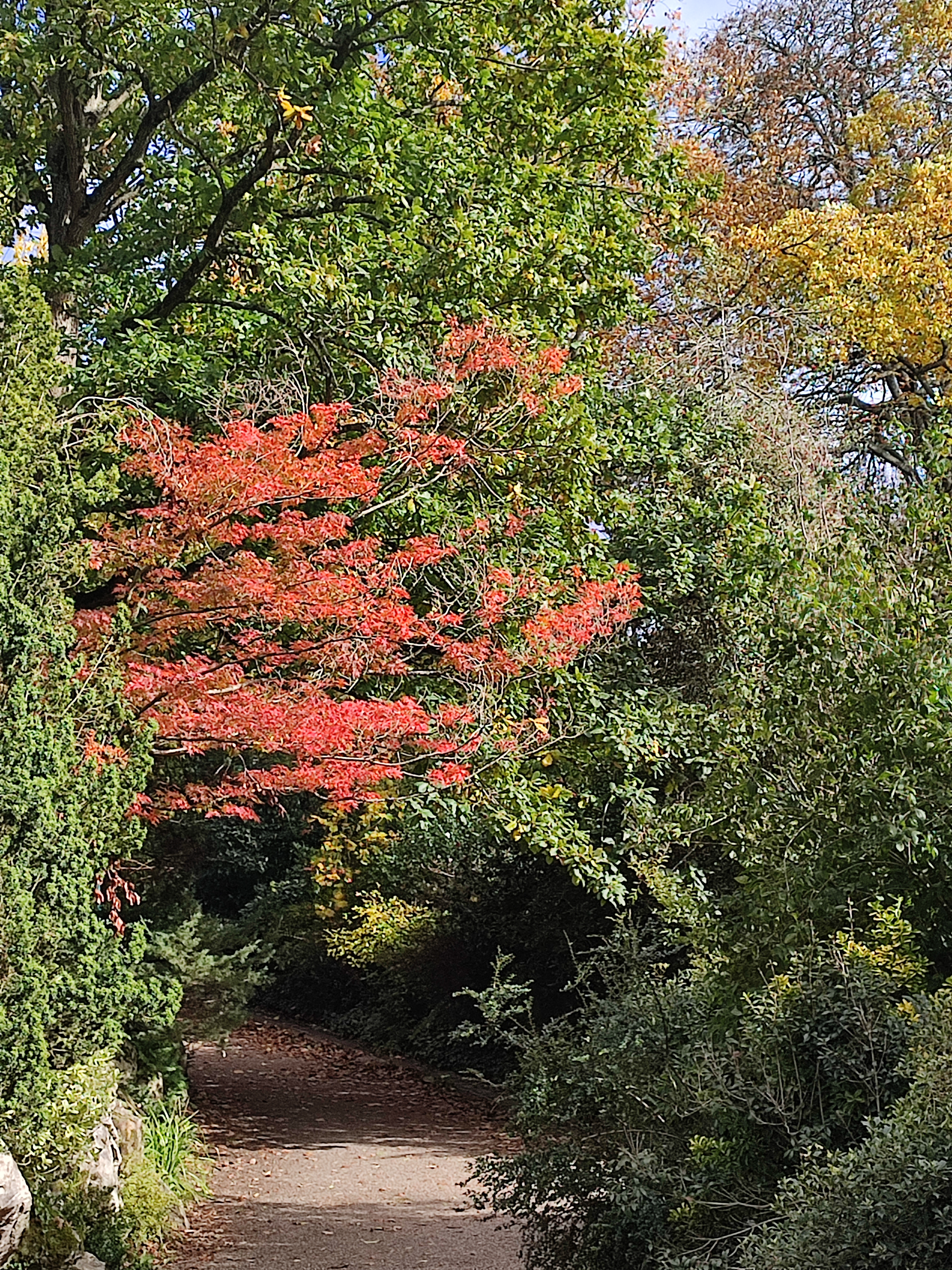 Photo n° 6 de l'avis de ouzé.e fait le 10/11/2023 à 14:34