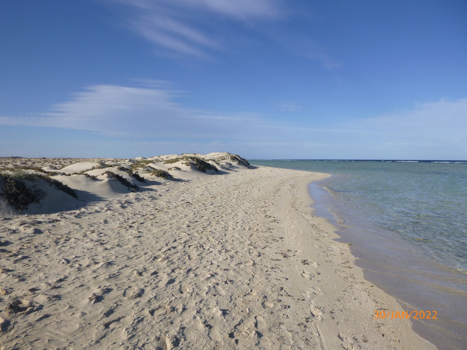 Gorgonia Beach'in fotoğrafı geniş plaj ile birlikte