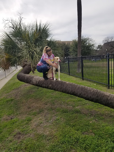 Park «Madison Square Park», reviews and photos, 400 Lexington Ave, San Antonio, TX 78215, USA