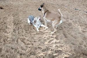 Meir Garden Dog Park image