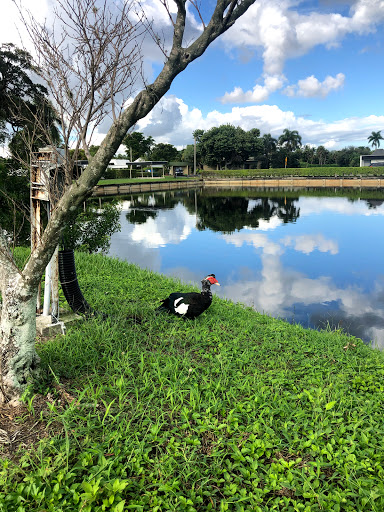 Golf Club «Woodlands Country Club», reviews and photos, 4600 Woodlands Blvd, Tamarac, FL 33319, USA