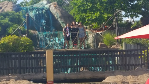 Amusement Park «Magic Mountain Fun Center - Polaris», reviews and photos, 8350 Lyra Dr, Columbus, OH 43240, USA