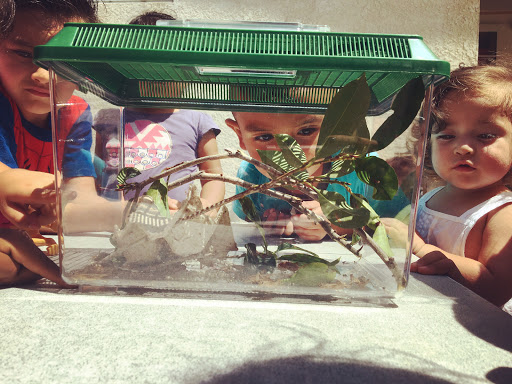 Day Care Center «Heartwood Child Development Center», reviews and photos, 4883 Kingsley St, Montclair, CA 91763, USA