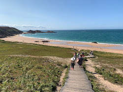 Plage de Lourtuais'in fotoğrafı vahşi alan
