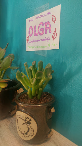 Cafe «Coffee Hound Coffee Bar», reviews and photos, 27 Main St B, Bar Harbor, ME 04609, USA