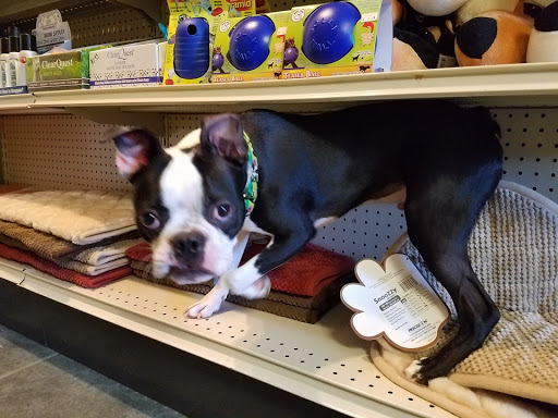 Top Flight Kennel, LLC