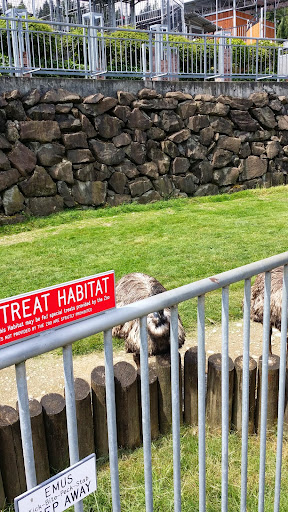 Zoo «Cougar Mountain Zoo», reviews and photos, 19525 SE 54th St, Issaquah, WA 98027, USA