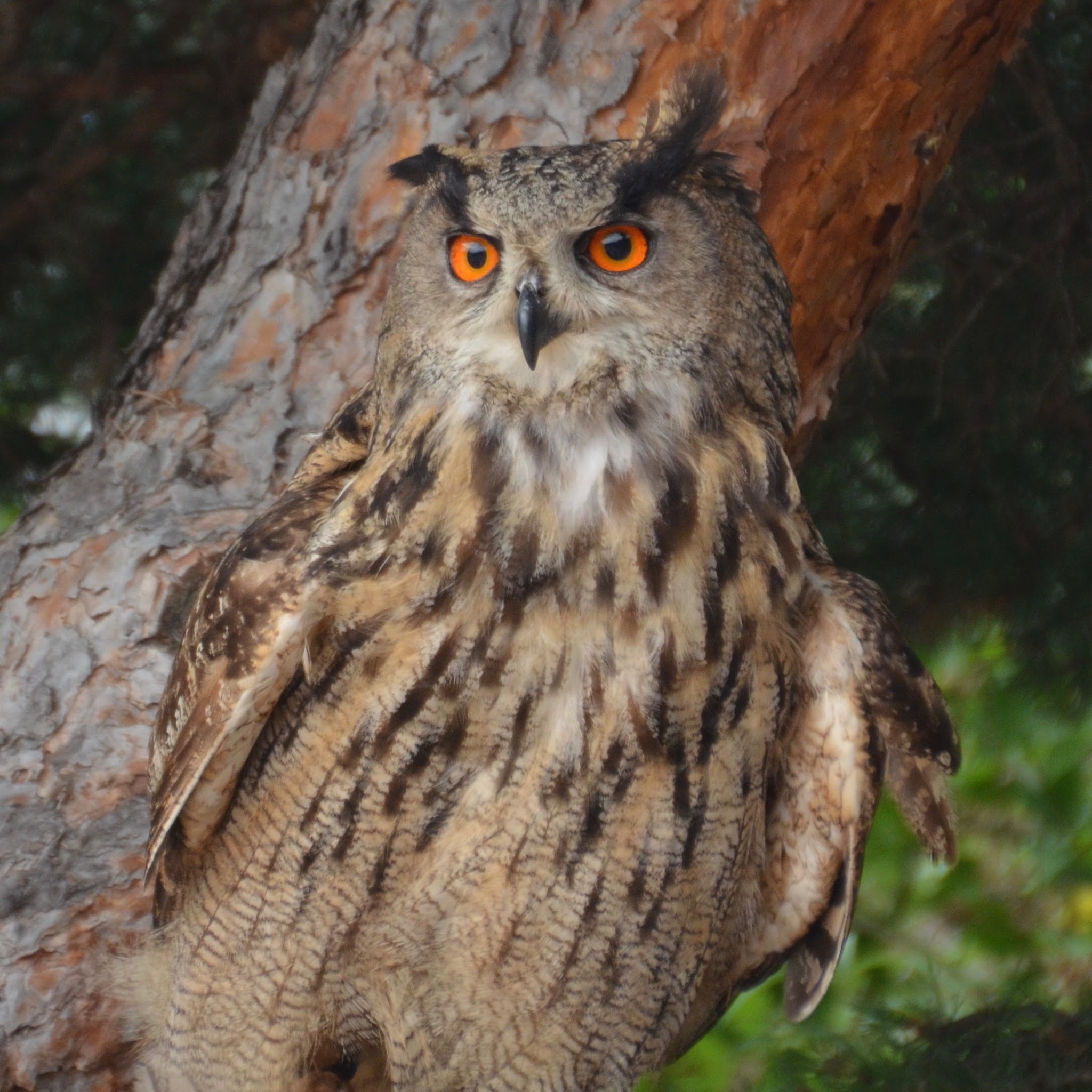Photo n° 3 de l'avis de Sébastien.i fait le 24/06/2017 à 20:20