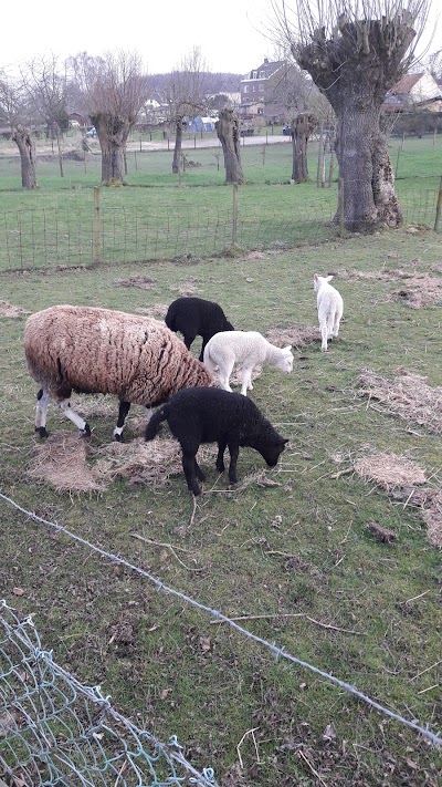 Photos of boerderijcamping Kroonen