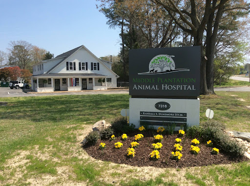 Middle Plantation Animal Hospital