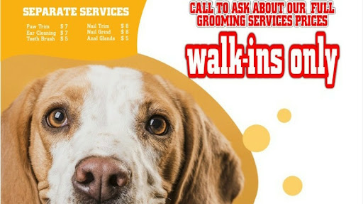 Chihuaguau Dog Grooming, Daycare and Boarding