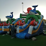 Photo n°11 de l'avis de Pasquale.o fait le 12/10/2019 à 20:30 sur le  Parco dei Laghi à Pozzuoli