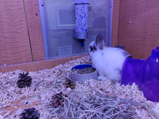 Pet Store «Animal Ark», reviews and photos, 175 S 500 E St, American Fork, UT 84003, USA