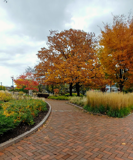 Museum «Memorial Art Gallery», reviews and photos, 500 University Ave, Rochester, NY 14607, USA