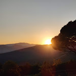 Photo n°1 de l'avis de Michael. fait le 29/08/2023 à 15:51 sur le  Bar Ristorante Pizzeria Pisaneddu à Baunei
