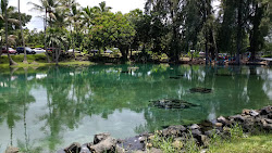 Richardson Ocean Park'in fotoğrafı uçurumlarla desteklenmiş