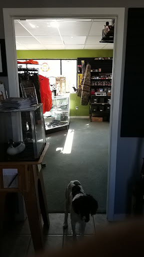 Outdoor Sports Store «KOTM Outfitters», reviews and photos, 30403 Kings Valley Dr #1, Conifer, CO 80433, USA