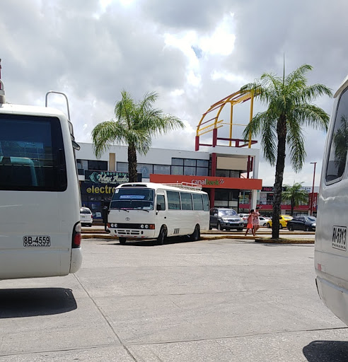 Autoridad Transito y Terrestre de Panama