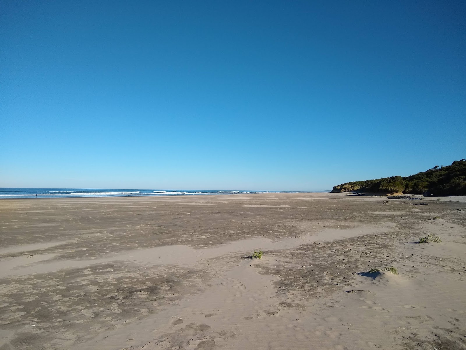 Foto de Wakonda Beach área selvagem