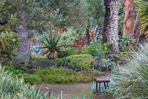 The Ruth Bancroft Garden & Nursery image