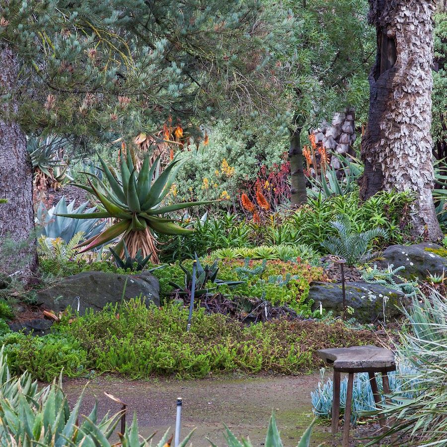 The Ruth Bancroft Garden & Nursery