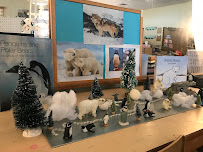 Holy Cross Early Childhood Center - Photo 7 - Car repair in Manchester, NH, Manchester